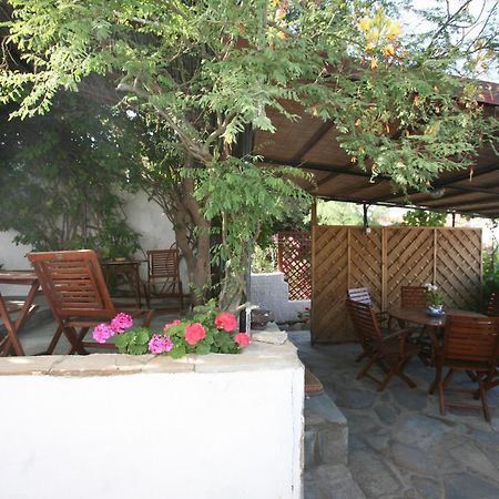 Anemoesa Apartment Batsi Exterior photo