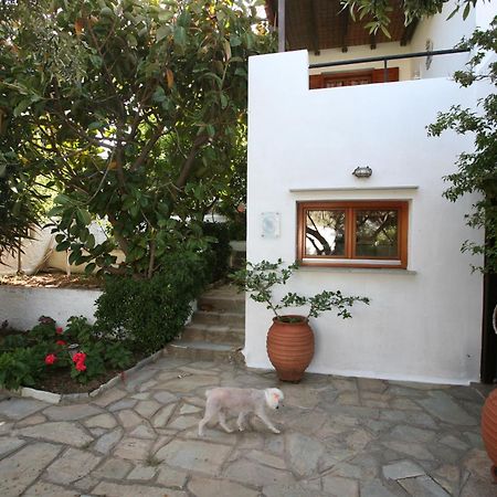Anemoesa Apartment Batsi Exterior photo